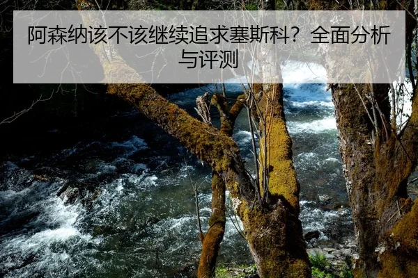 阿森纳该不该继续追求塞斯科？全面分析与评测